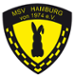 MSV Hamburg II